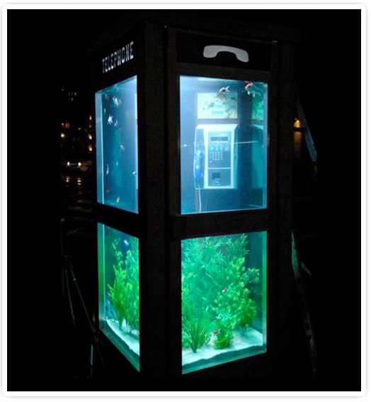 phone-booth-aquarium-night