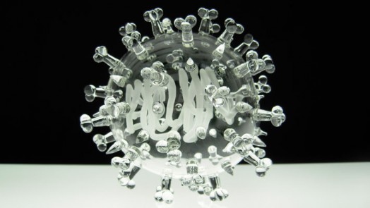SARS Corona Virus (22cm diameter)