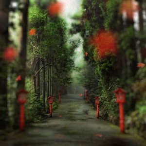 The Gentle Path to the Beyond - Hakone, Japan