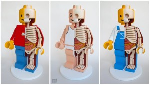 18" Lego© Men dissected tryptic